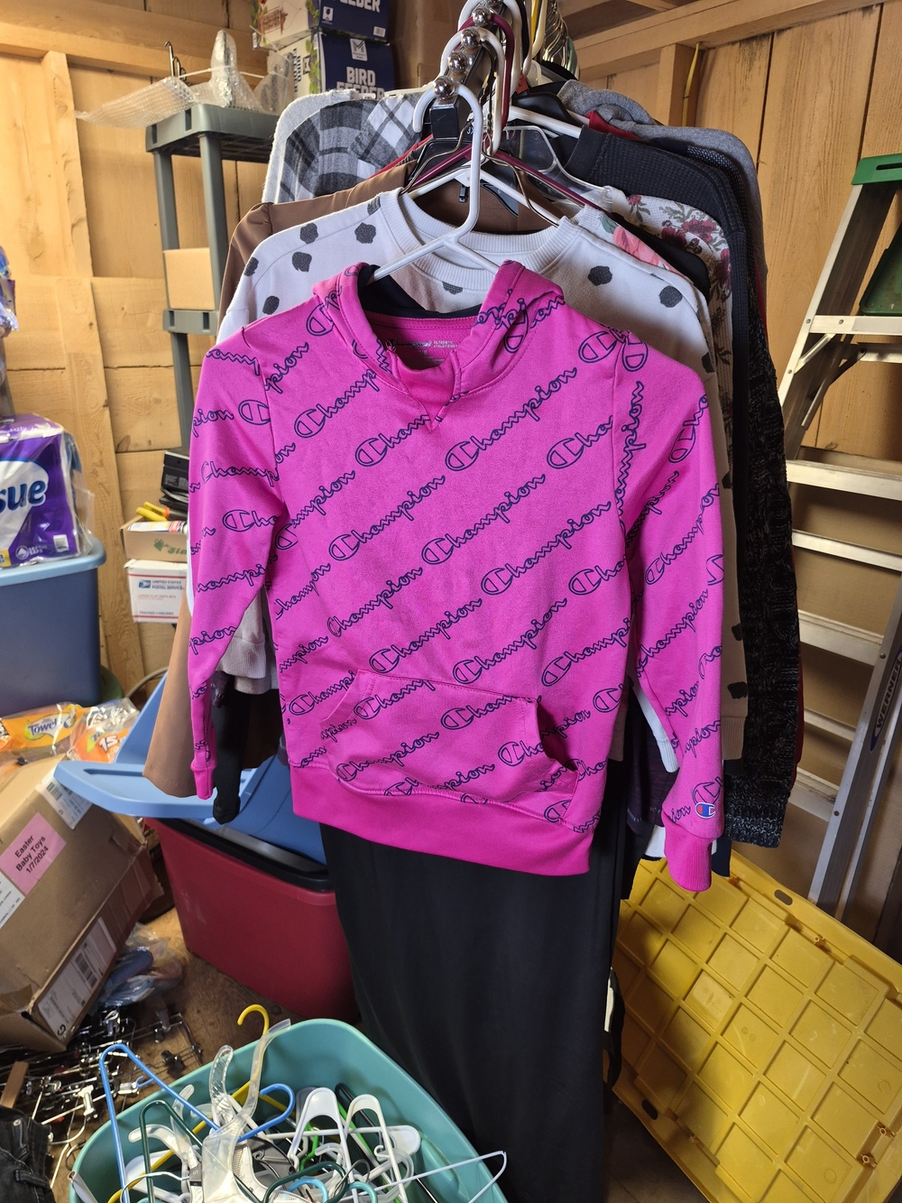 Champion Girls' Pink Hoodie Sweatshirt Bin 64
